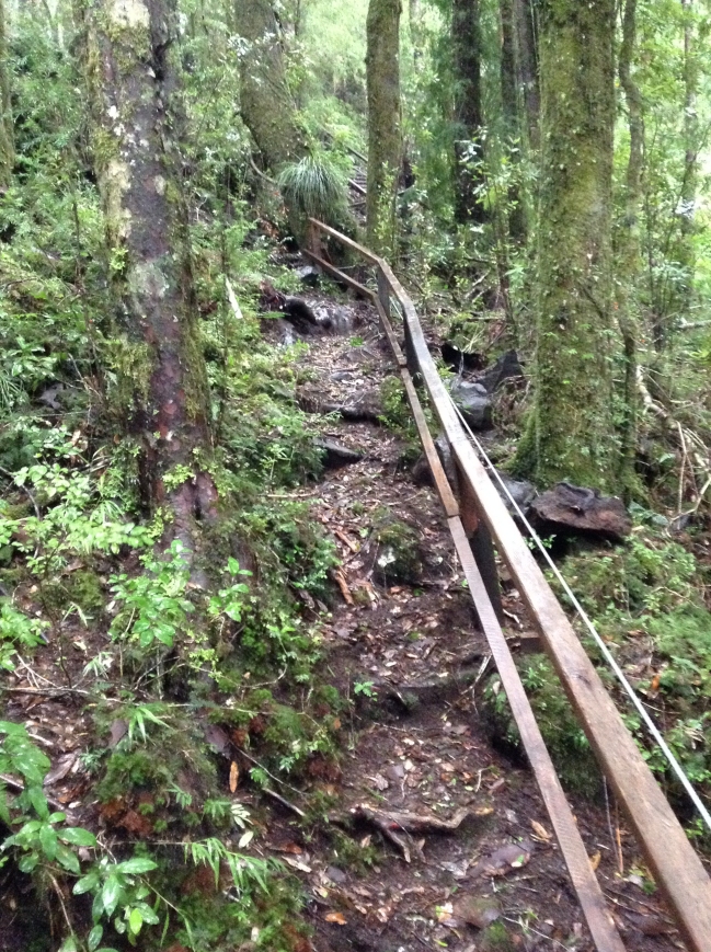 Imagen foto_00000014