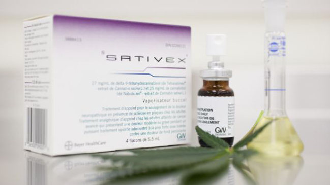 El fármaco de marihuana que le abre las puertas al cultivo en Chile