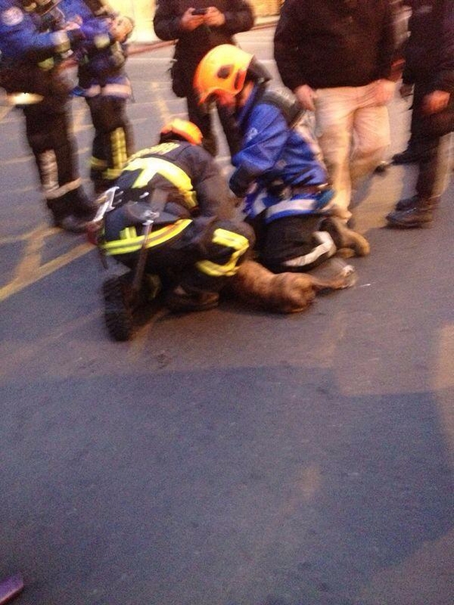 Imagen foto_00000018