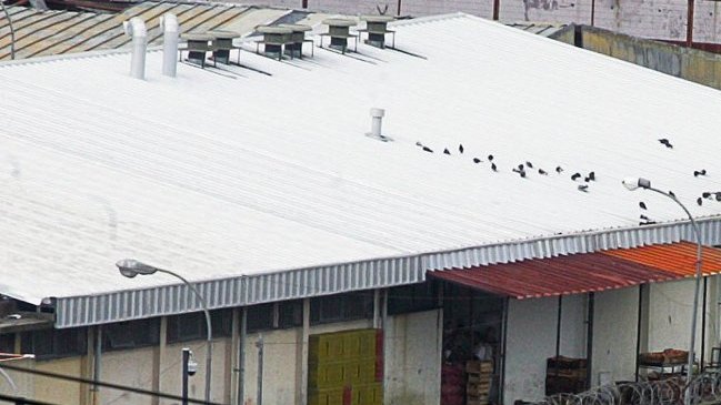 Reo fue encontrado muerto al interior de su celda en la cárcel de Concepción