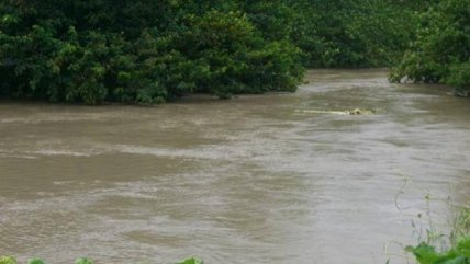 Alerta amarilla en El Maule por crecida del Río Loncomilla
