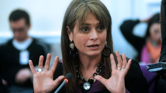 Movilh acusa que Van Rysselberghe manipuló información para justificar su 