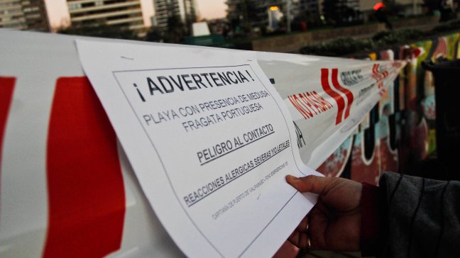 Autoridades decretaron alerta sanitaria en costas de Valparaíso por medusa 