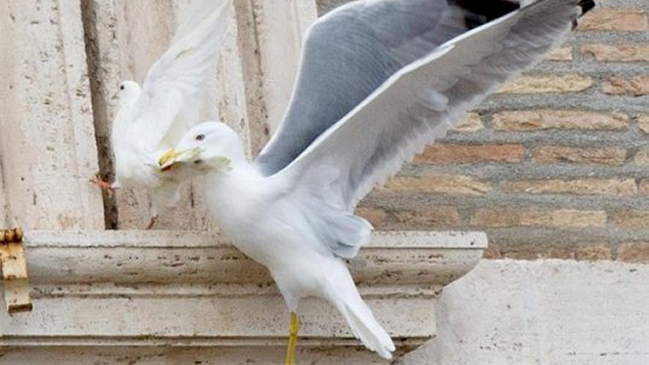 Imagen foto_00000001