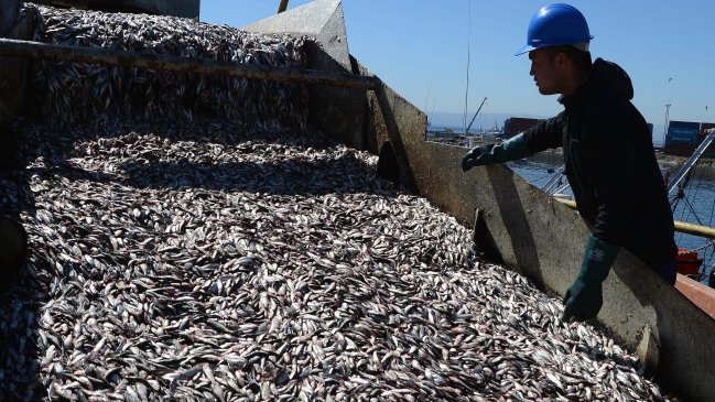 Senadores plantearon eliminar subsidio a la 