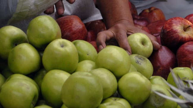 La manzana desplazó a la uva como la principal exportación frutícola chilena
