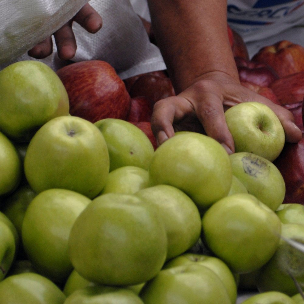 Alimentos empujaron variación de 0,2 por ciento del IPC en julio