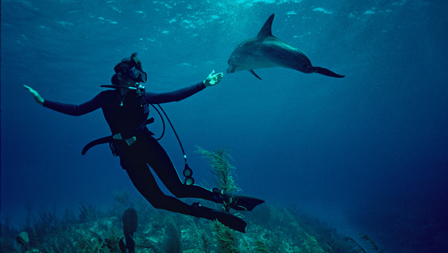 Documental sobre la conservación de los océanos apela más a la emoción que a la mente