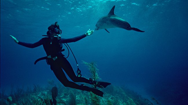 Documental sobre la conservación de los océanos apela más a la emoción que a la mente