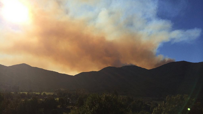 Incendio forestal en Colliguay se mantiene sin control