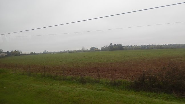 Alcalde de San Clemente quiere un aeropuerto para la Región del Maule