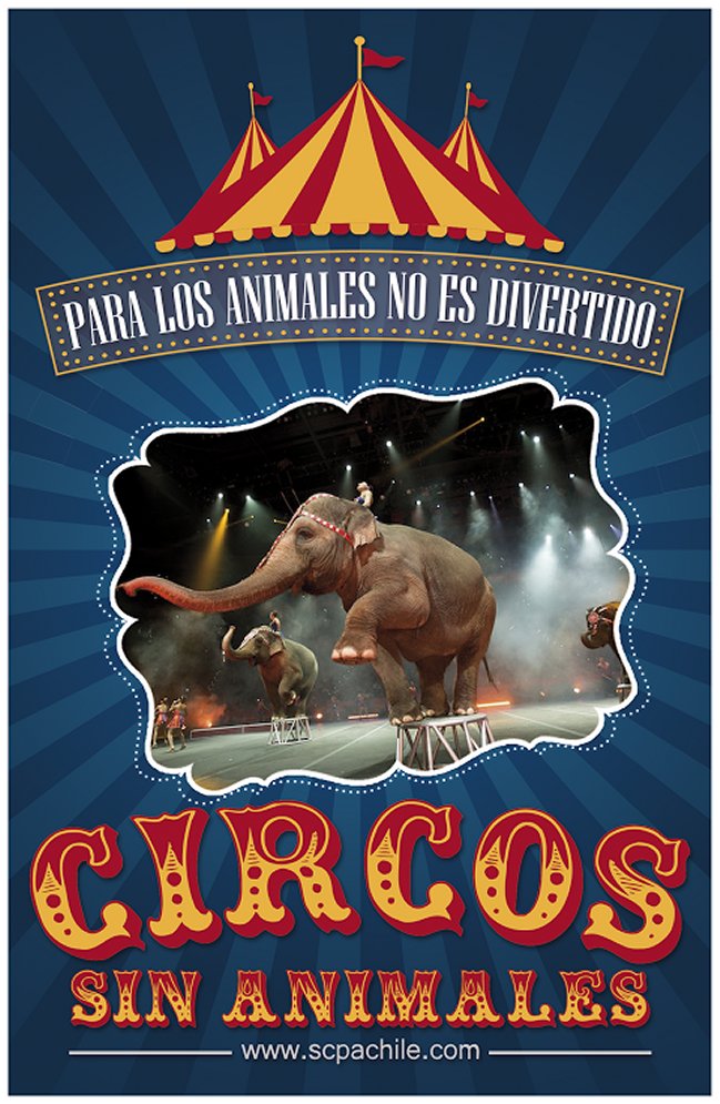 Imagen foto_00000001