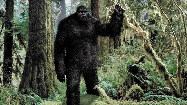 Los científicos que estudian a 