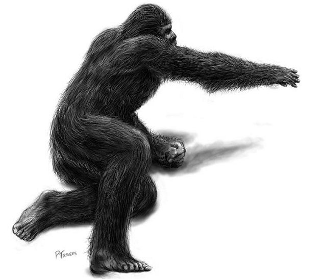 Imagen foto_00000002