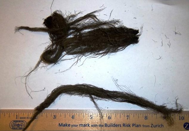 Imagen foto_00000004