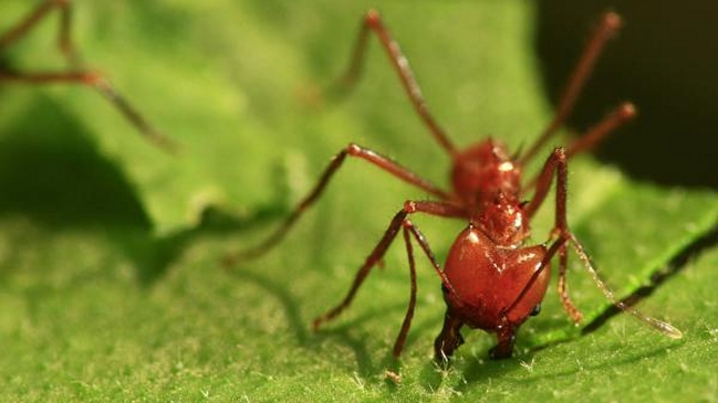 Imagen foto_00000001