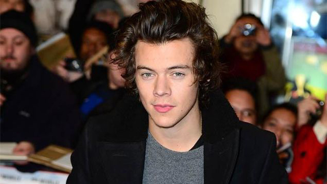 Integrante de One Direction inspira exitosa novela erótica