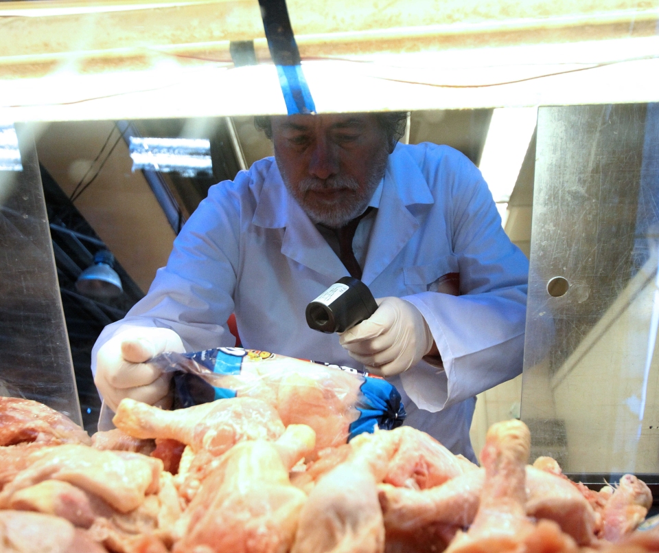 Gobierno busca aumentar multas tras colusión en producción de pollos