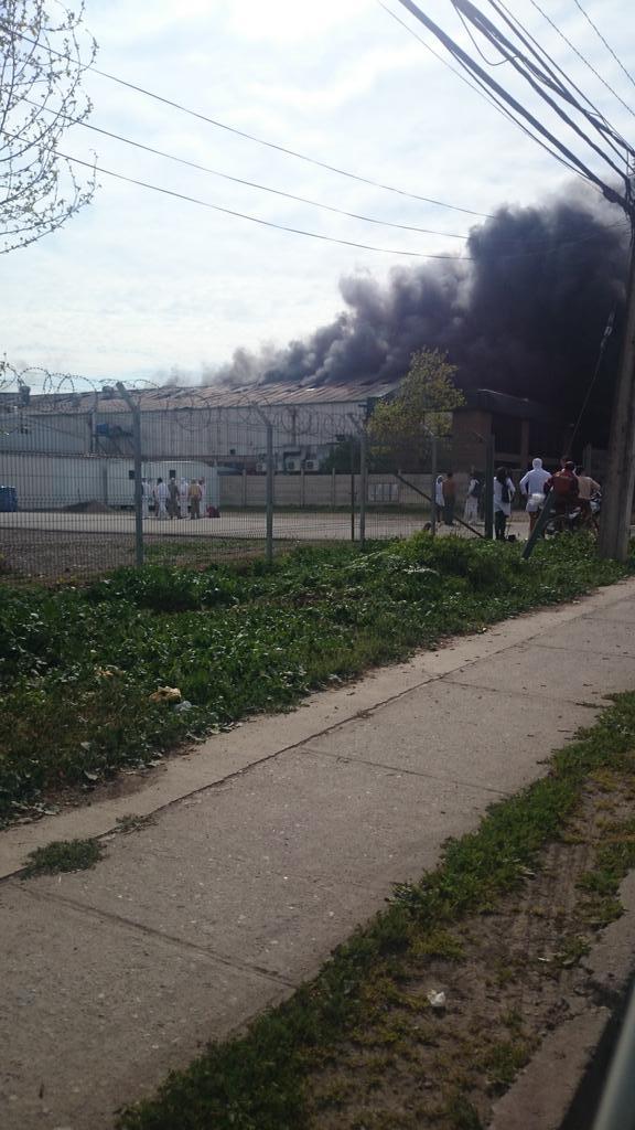 Imagen foto_00000015