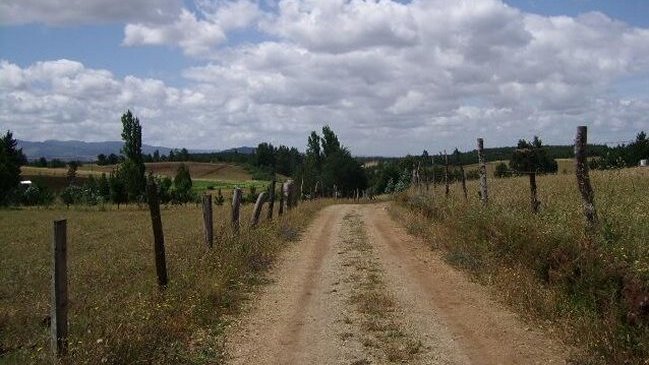 Carabineros detuvo a trabajador que atropelló y dio muerte a comunero mapuche