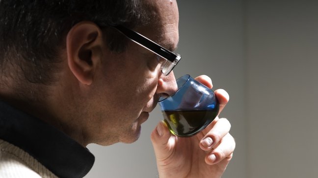 Aceites de oliva chilenos ganaron prestigioso certamen europeo