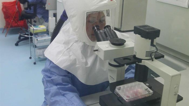 Gobierno: Las medidas están tomadas para enfrentar un posible caso de ébola