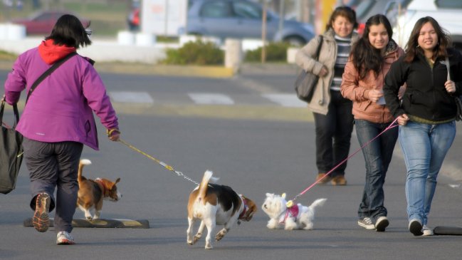 Municipio español contrató detectives contra las heces de perro