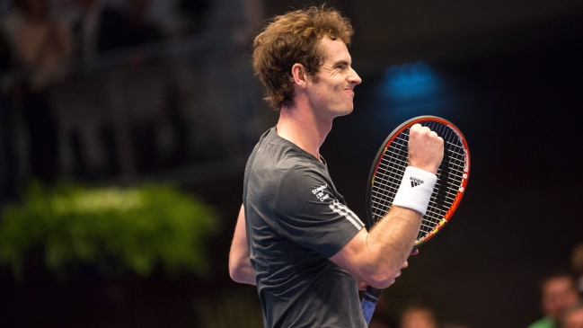 David Ferrer y Andy Murray se verán las caras en la final del ATP de Viena