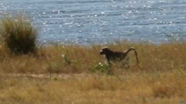 Imagen foto_00000001