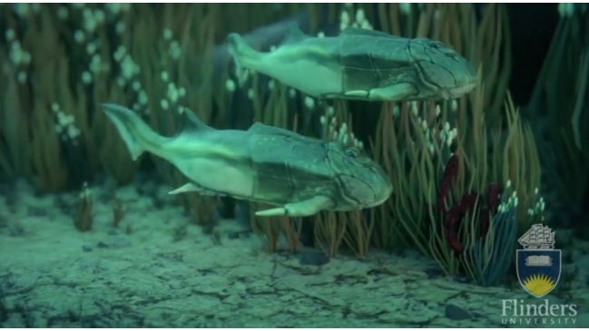 Científicos descubrieron el origen del sexo a través del estudio de peces prehistóricos