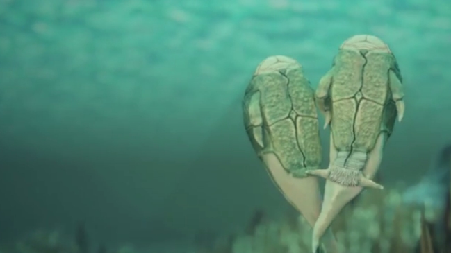 Imagen foto_00000014