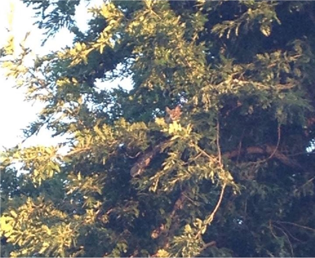 Imagen foto_00000002