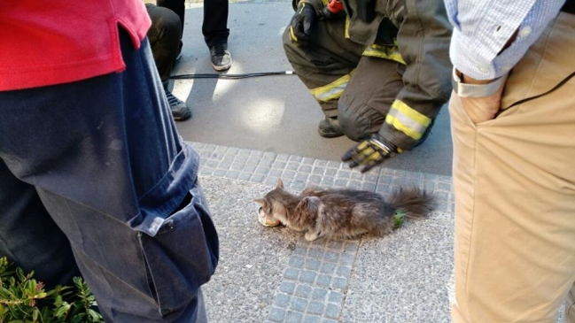 Imagen foto_00000003