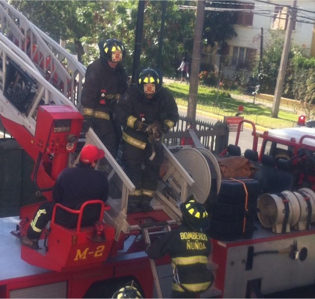 Imagen foto_00000016