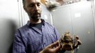 Uruguayos planean vender excremento de murciélago para cultivar marihuana