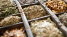 La Justa Medida: Fitoterapia y alimentos congelados