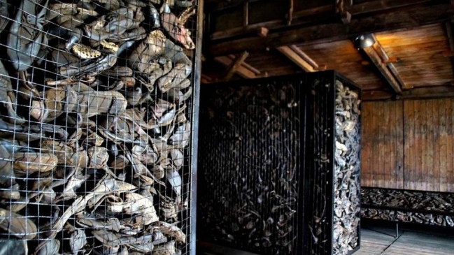 Roban zapatos de víctimas del Holocausto en Polonia
