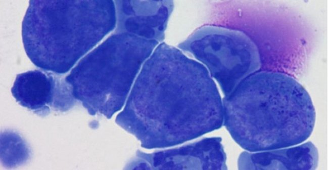 Imagen foto_00000002