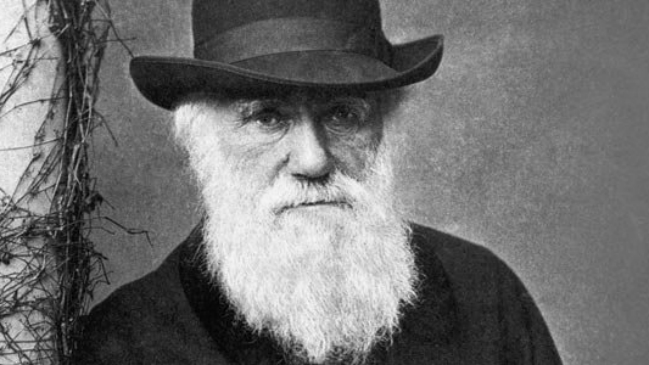Los manuscritos originales de Darwin, disponibles a través de internet