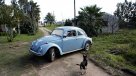 Trabajadores mexicanos regalarán un Volkswagen a \