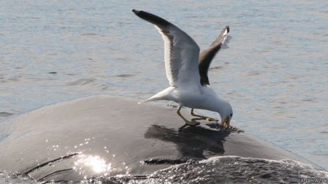 Imagen foto_00000003