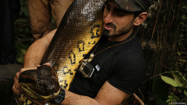 El controvertido documental en el que un hombre se deja comer por una anaconda