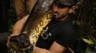El controvertido documental en el que un hombre se deja comer por una anaconda