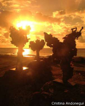 Imagen foto_00000014