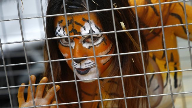 Diputados prohíben espectáculos con animales silvestres en circos de México