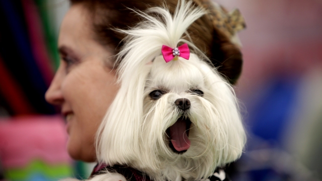 Imagen foto_00000016