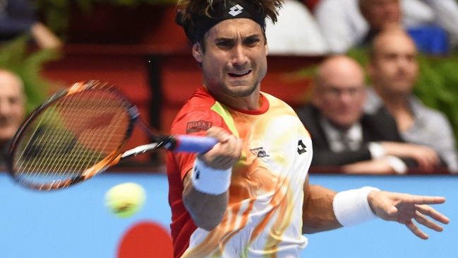 David Ferrer confirmó su participación en el 