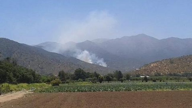 Onemi declaró alerta roja en provincia de Melipilla por incendio forestal