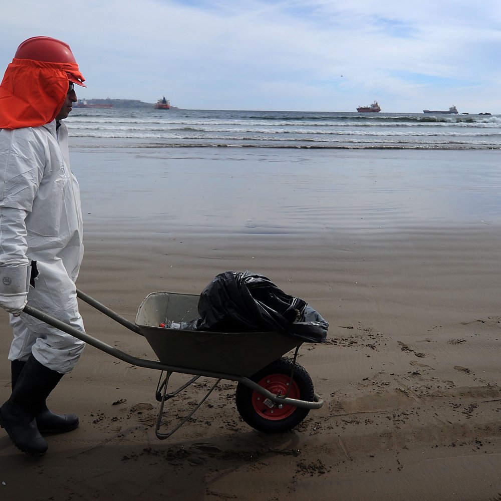 Ministerio de Salud levantó prohibición de extraer productos del mar en Quintero