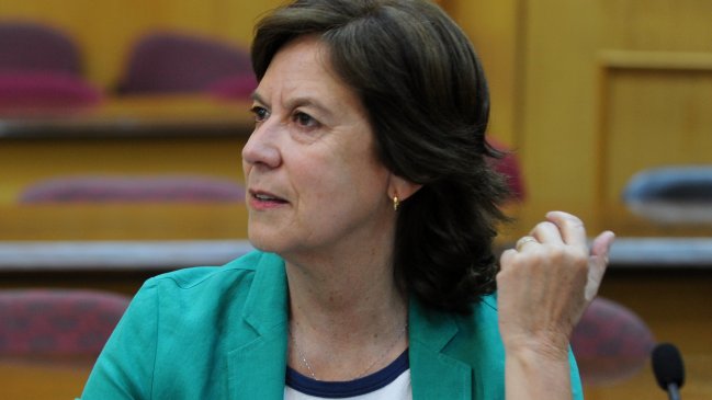 Mariana Aylwin acusó que buscan 